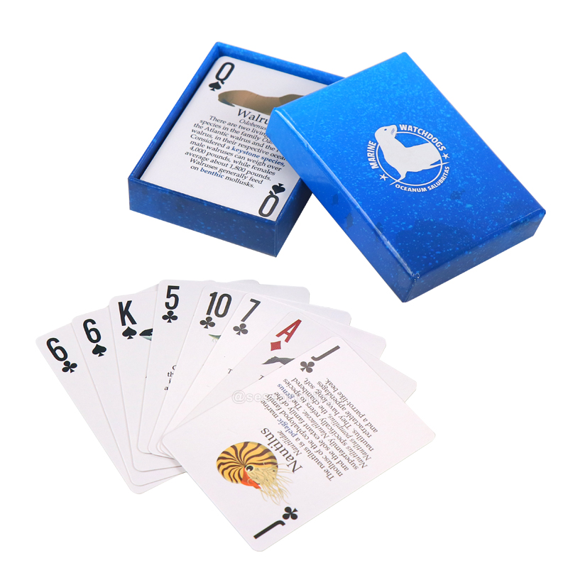 Custom Learning Flash Cards Printing Marine Cognitive Card Game