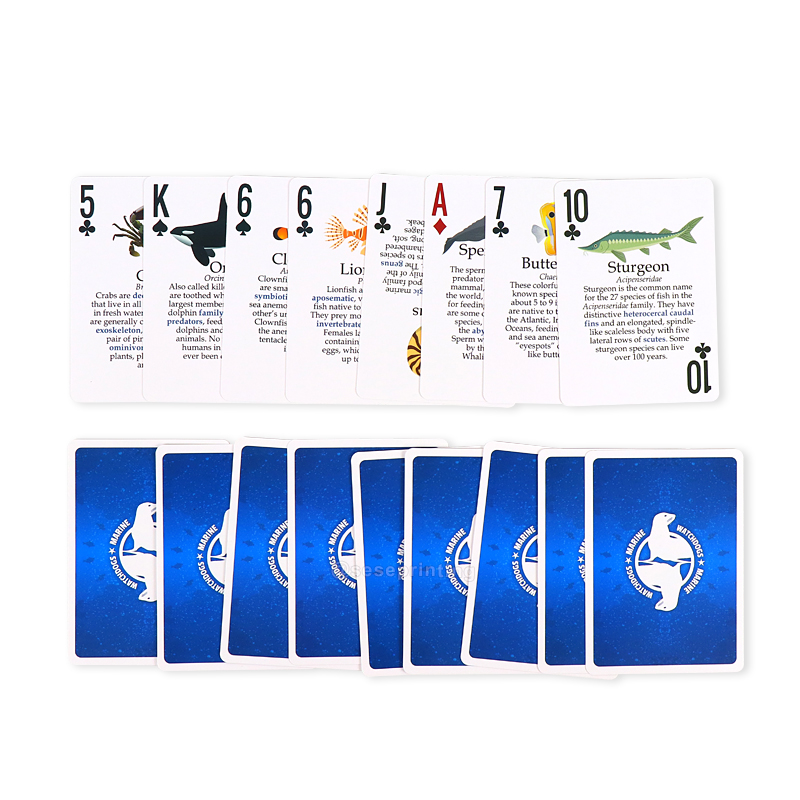 Custom Learning Flash Cards Printing Marine Cognitive Card Game