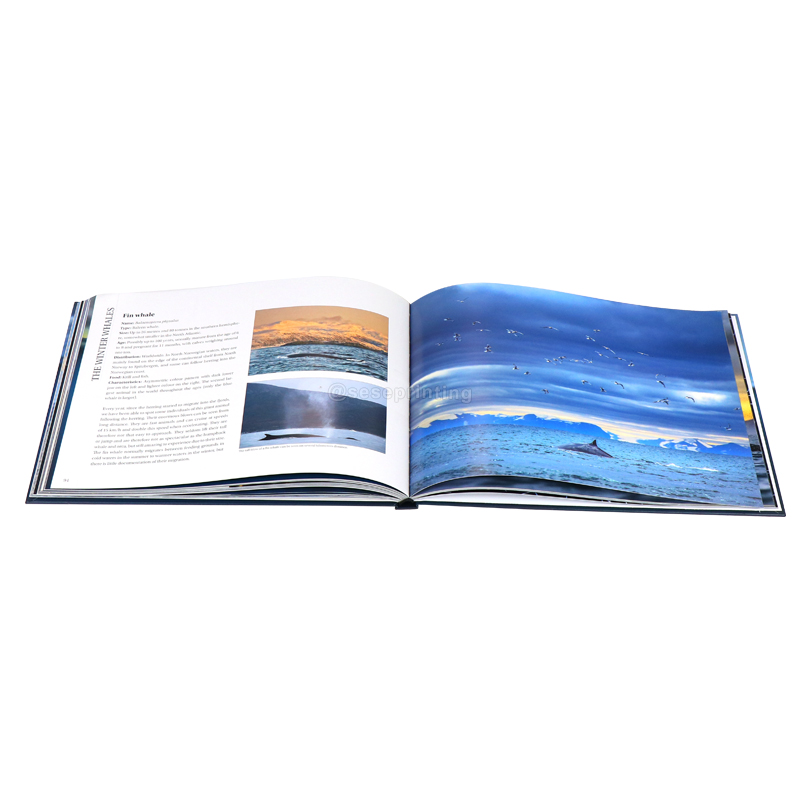 Luxury Thick Hardcover Book Custom Landscape Book Printing