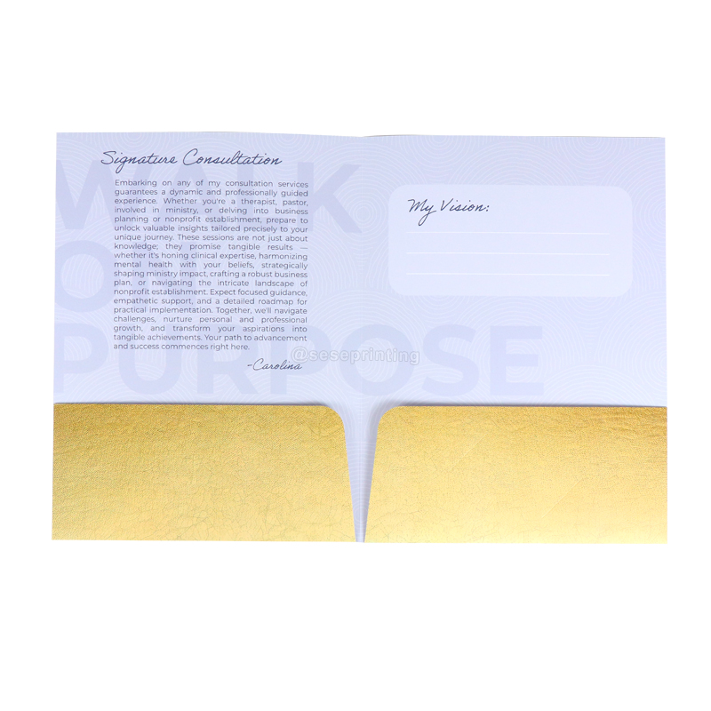 A4 Presentation Document Paper File Folder Printing with 2 Pockets