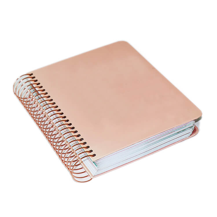 Spiral Bound Organizer - Customized 2019 2020 Daily Calendar Notebook (1)