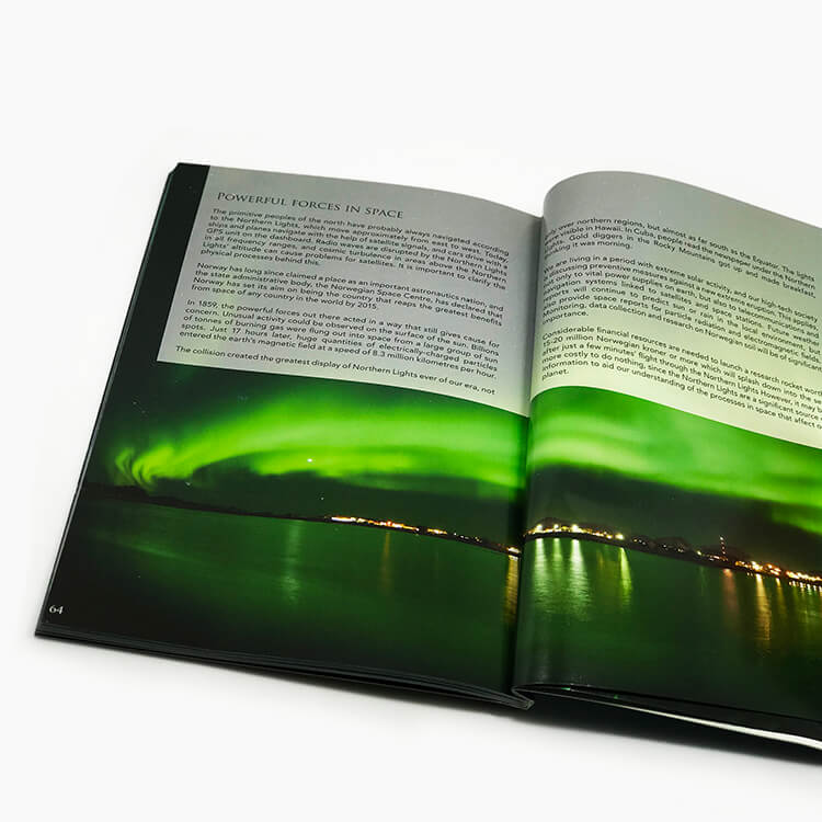 4c+4c Cmyk Pantone Eco-friendly Custom Book Printing 2021