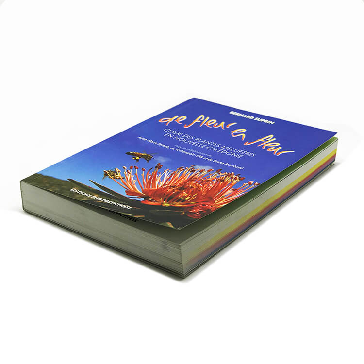 Custom OEM A6 A5 A4 Size Paperback Journal Book Printing