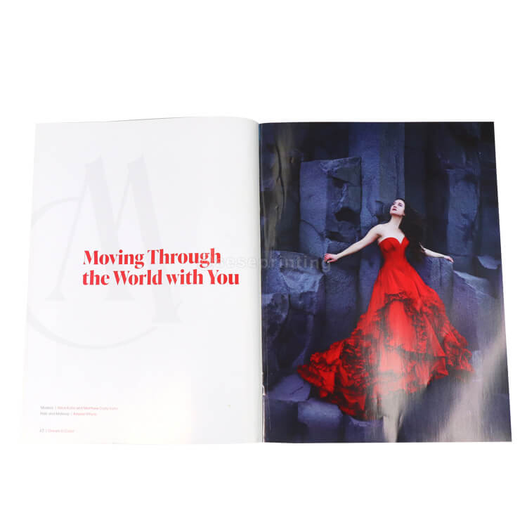Full Colors Printing High Quality Custom Logo Brochure Booklet