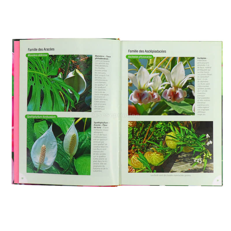 Factory Custom Plantes Textbook High Quality Brochure Printing Softcover Book Printing