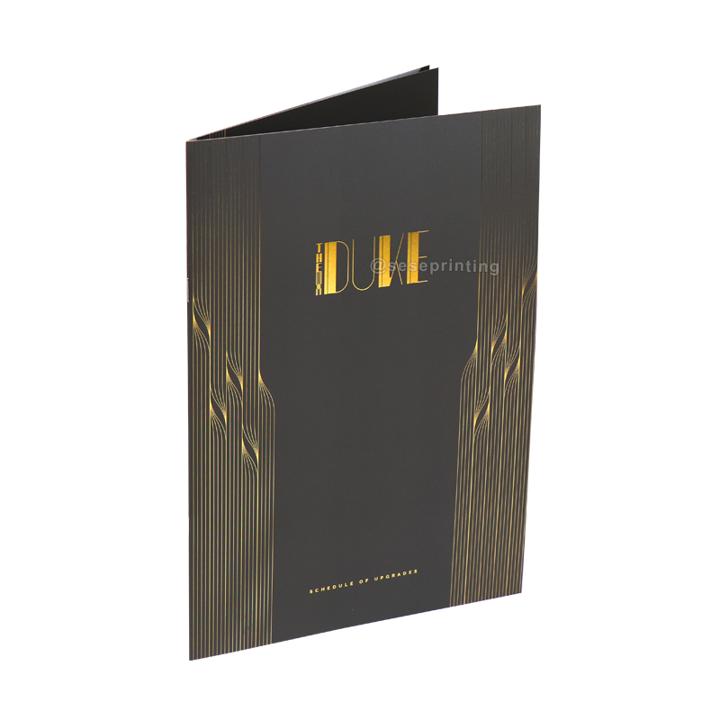 Custom Commercial Booklet Printing Flyer/Leaflet/Brochure Book