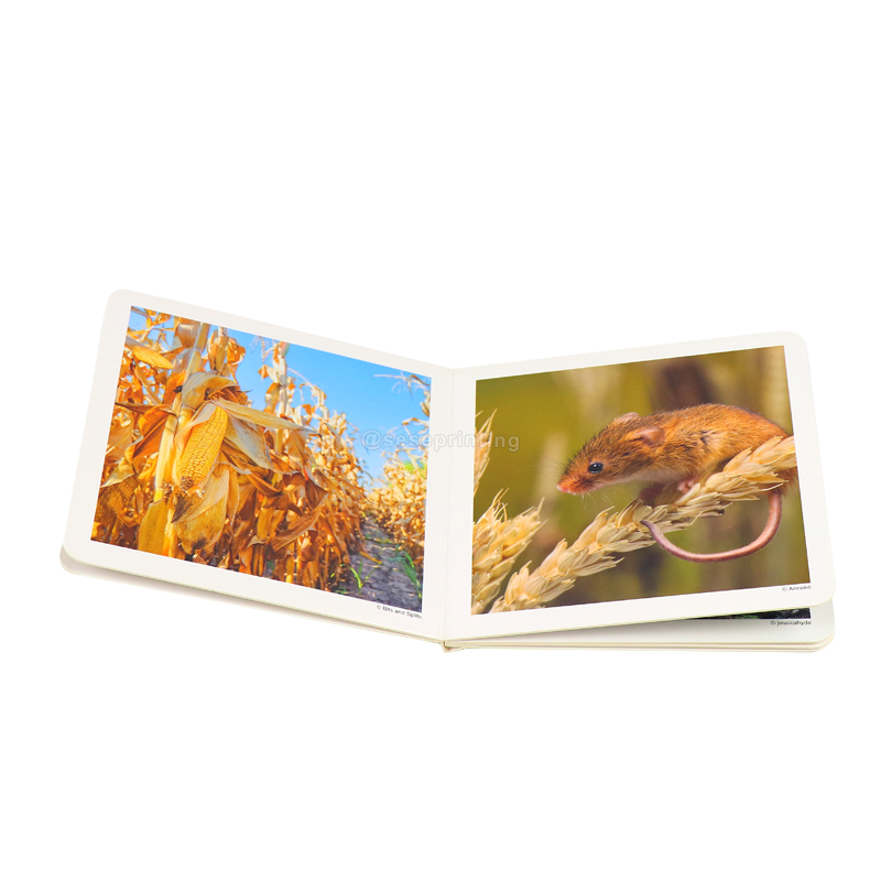 OEM Custom Cardboard Book Printing for Kids Children Book Print