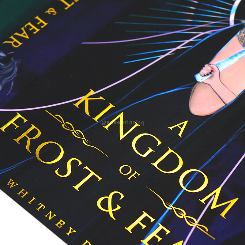 Double Sided Printing Dust Jackets for Special Edition Books