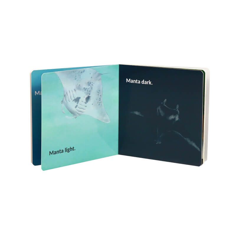Children Board Book Full Color Printing Learning Book for Kids
