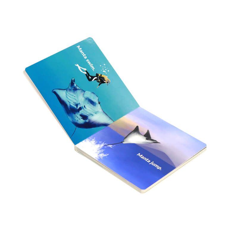 Children Board Book Full Color Printing Learning Book for Kids