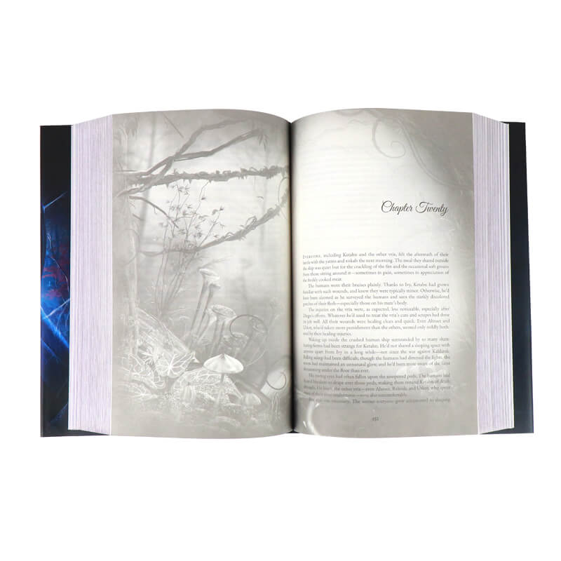 Hardcover Book with Foil Stamping on Dust Jackets and Stenciled Edges