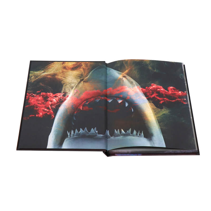 Special Edition Hardcover Novel with Endpapers, Foil on Cover and Sprayed Edges