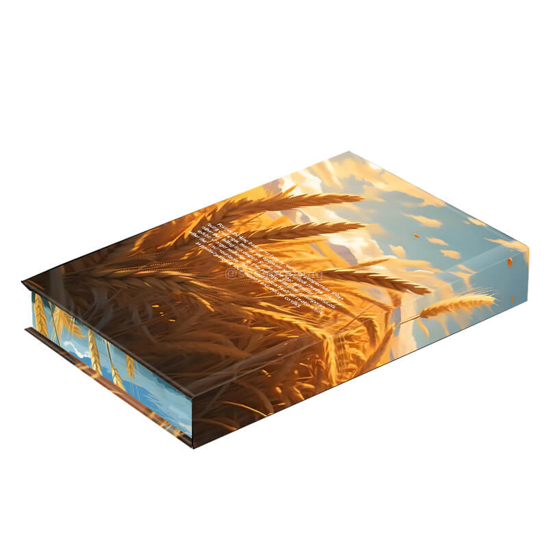 Luxury Spray Edges Hardcover Book Printing Special Edition Novel