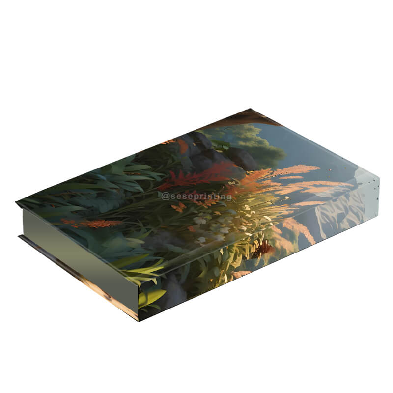Custom Special Illustrated Edition Hardback Books with Sprayed Edges