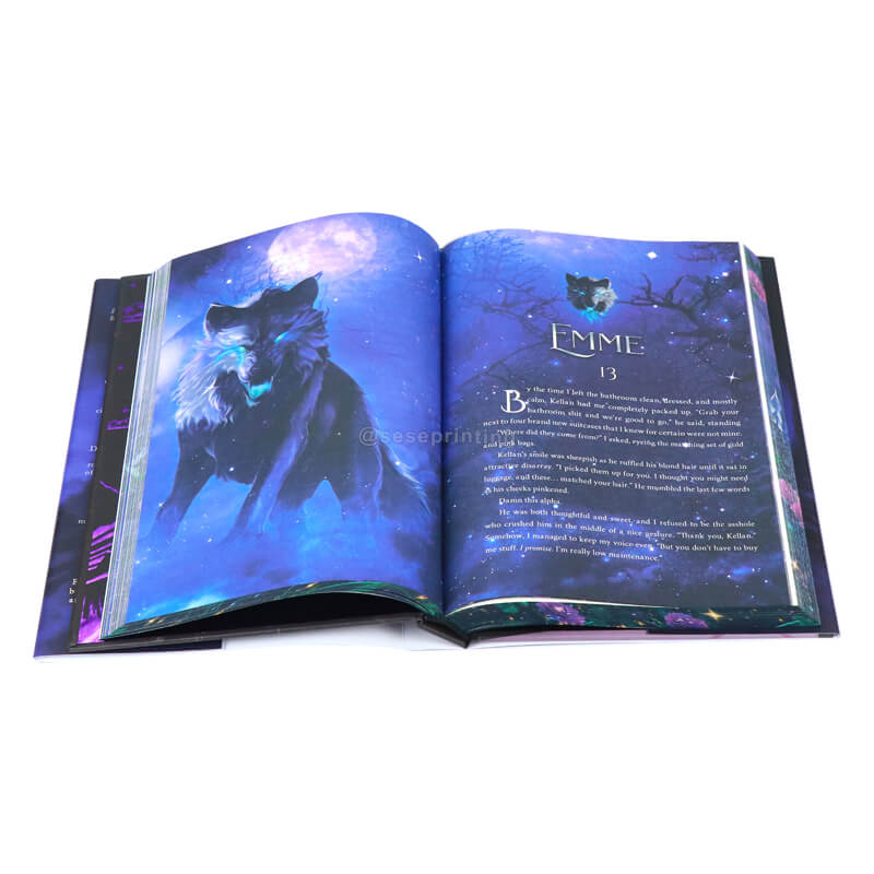 Novel Printed with Colored Illustrations Inside, Sprayed Edges and Dust Jackets