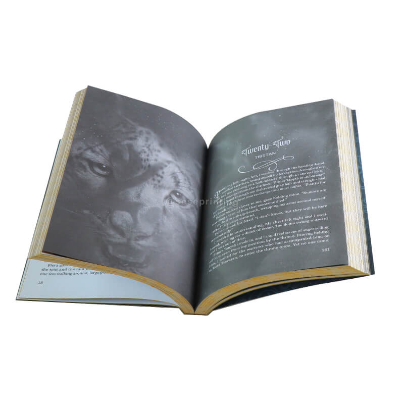 Black and White Printing Paperback Novels with Custom Stenciled Edges