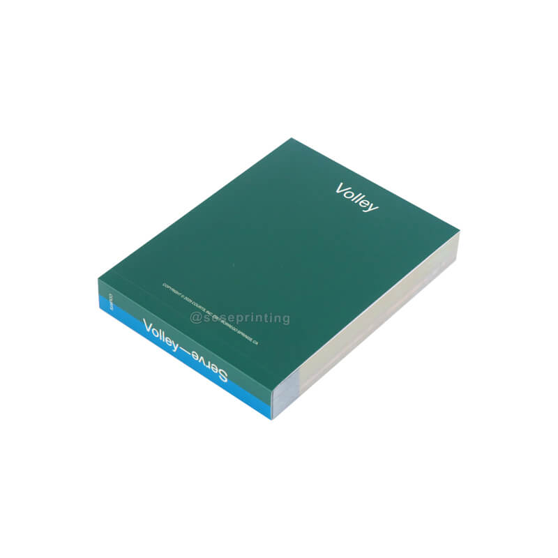 Custom Soft Cover Animation Book Paperback Flip Books for Children