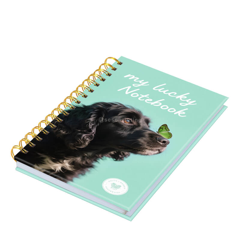 Custom Diary Journal Printing Hardcover Spiral Coil Notebook