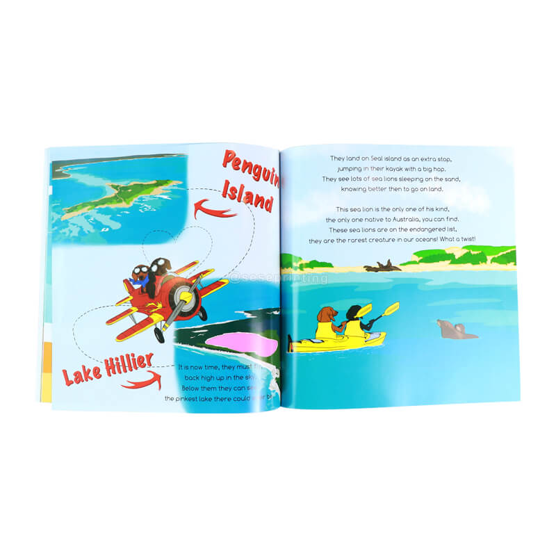 High Quality Full Color Printing Hardcover/Softcover Children Book