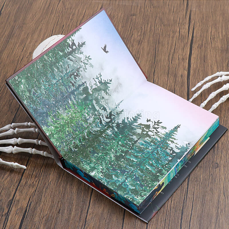 Special Edition Book with Dust Jackets and Hardcover Printing Sprayed Edges
