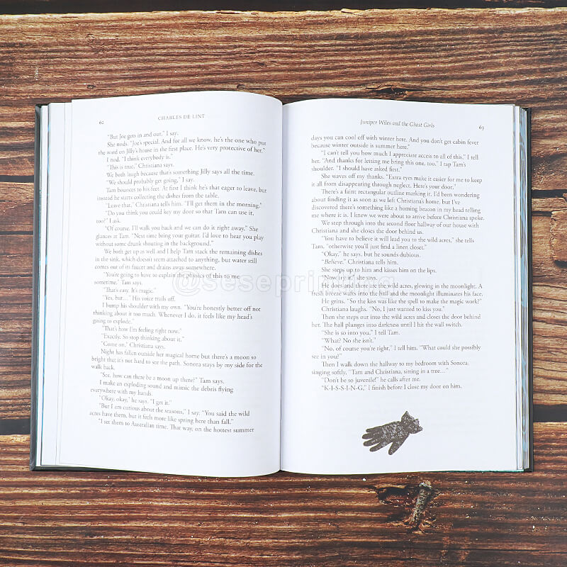 Special Edition Fantasy Book with Foiling Hardcover, Sprayed Page Edges & Art Endpapers