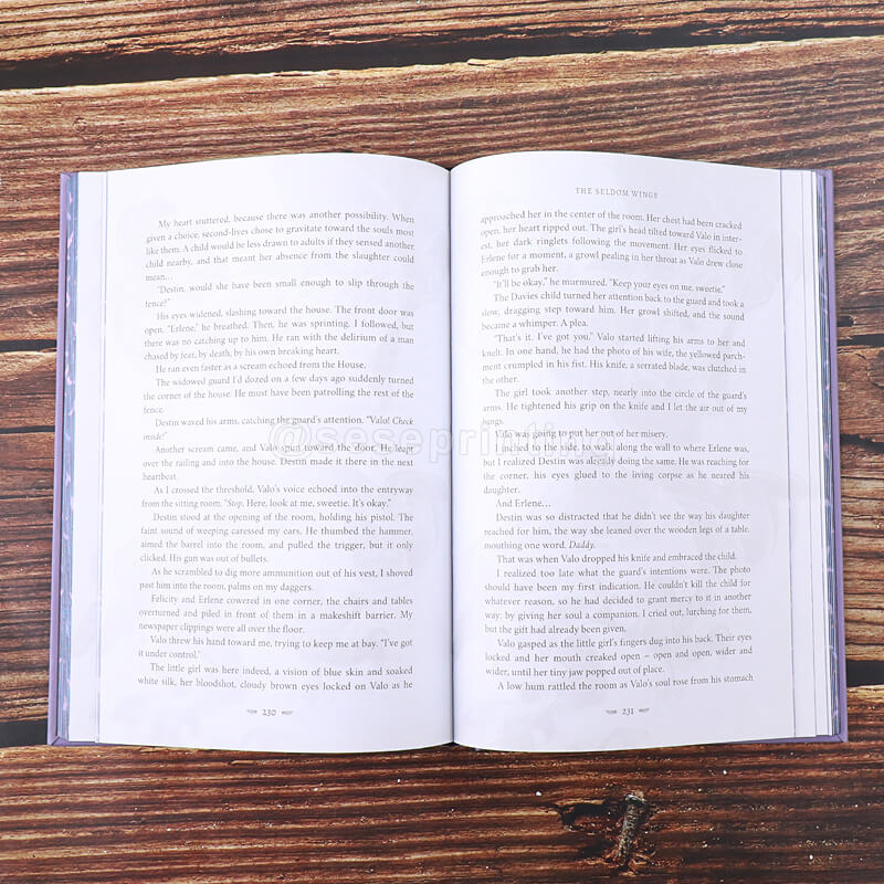 Limited Edition Hardcover Featuring Holographic Foil Cover, Decorative Endpapers, Sprayed Edges