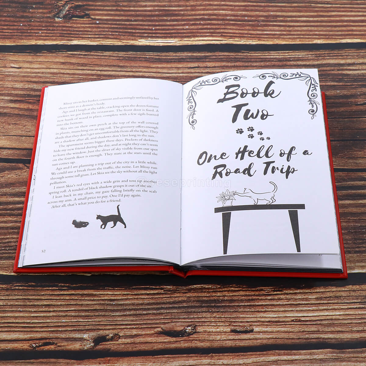 Special Edition Children Book with Foil Cover, Custom Sprayed Edges and Illustrated Endpapers
