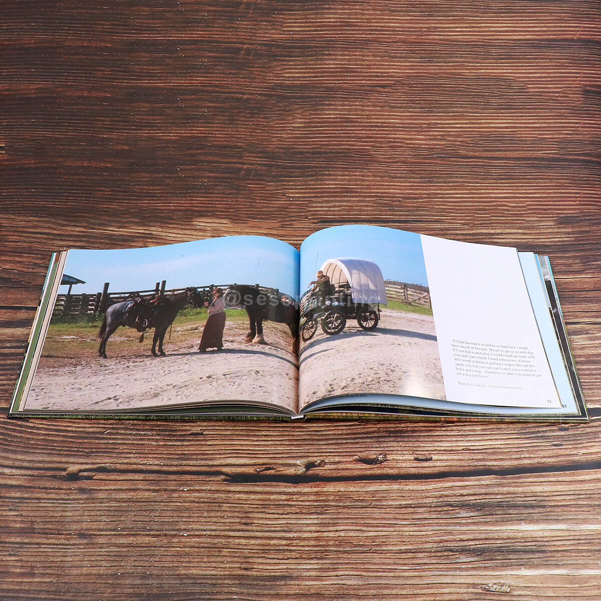 Full Color Printing Glossy Laminated Hardcover Photography Book