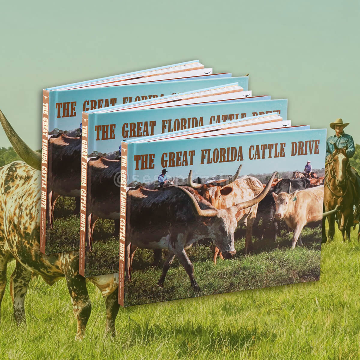 Full Color Printing Glossy Laminated Hardcover Photography Book