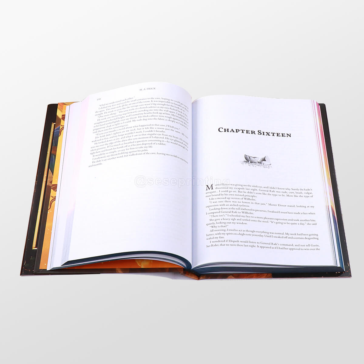 Special Edition Books Printed Edges, Matte Laminate Cover, End Pages and Dust Jackets