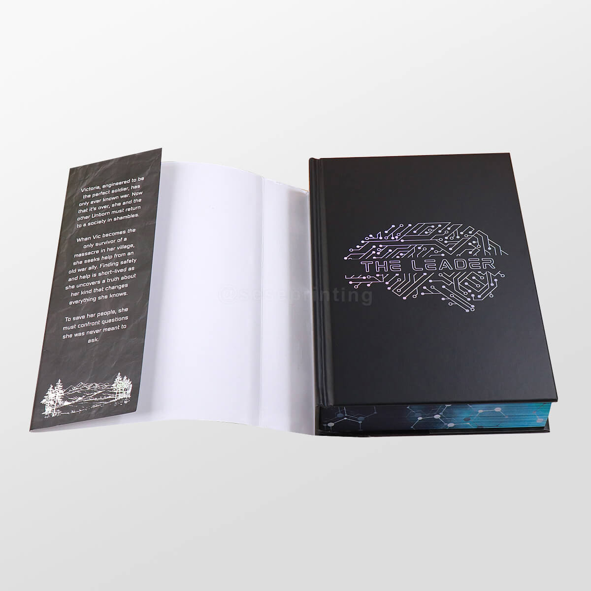 Hardback Special Editions Includes Color Pages, Sprayed Edges, Foiling on the Cover, Dust Jackets