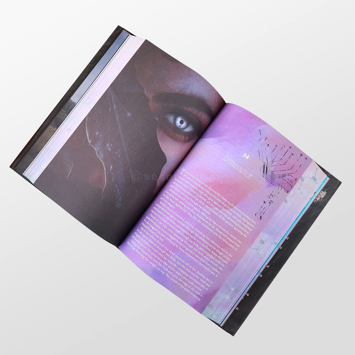 Hardback Special Editions Includes Color Pages, Sprayed Edges, Foiling on the Cover, Dust Jackets