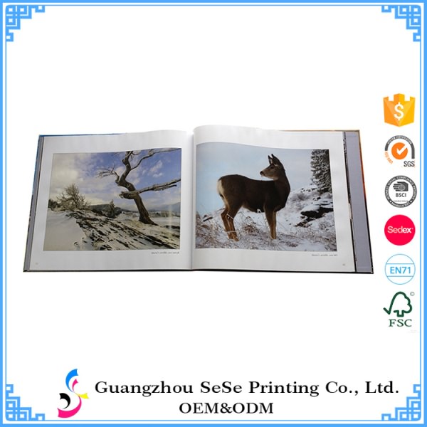 Professional printing custom made hardcover art book