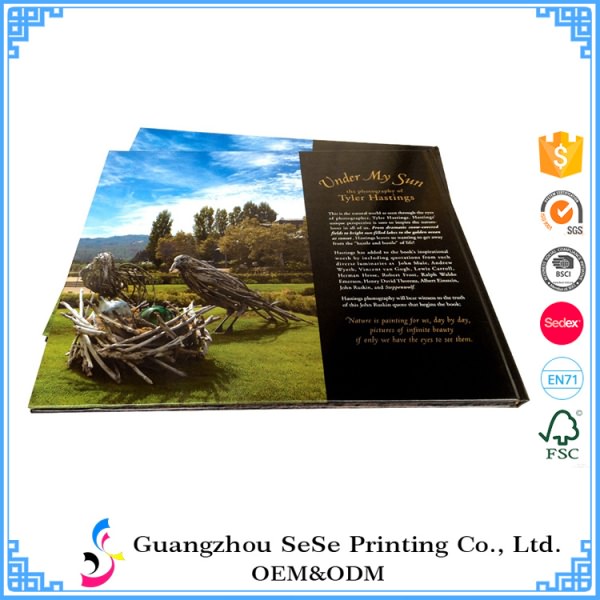 Professional printing custom made hardcover art book