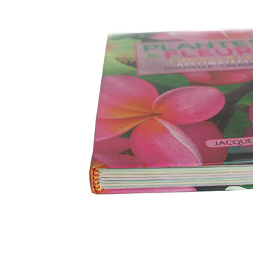 Wholesale custom book educational text book printing (1)