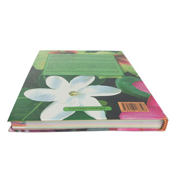 Wholesale custom book educational text book printing (6)