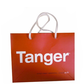 Foldable Shopping paper bag logo printing manufacturer