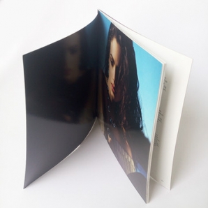 Full color cheap fancy softcover brochure printing