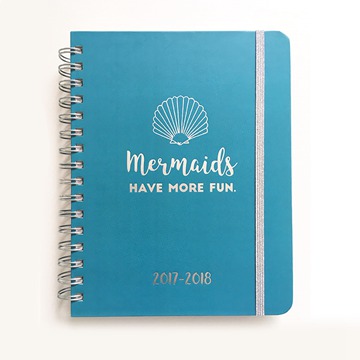 spiral notebook planner (7)