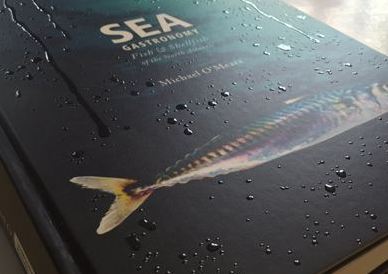 book-printing-glossy-vanish-fnishing.JPG