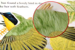 Touching and Feeling Book printing.JPG