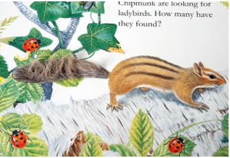 high quality touching and feeling book 2019.JPG