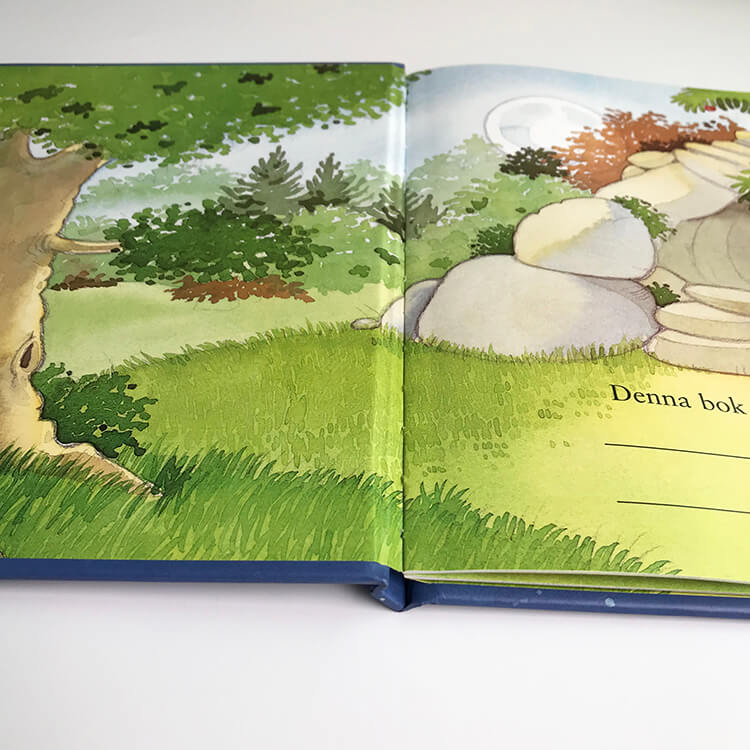 Colorful hardcover book my hot book