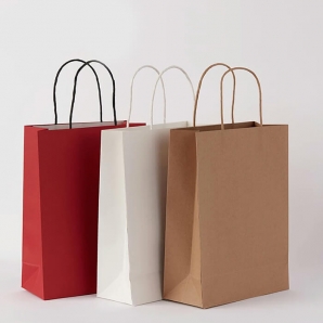 Custom printed hand gift shopping paper bag