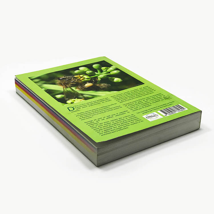 Softcove paper book printing services 2019