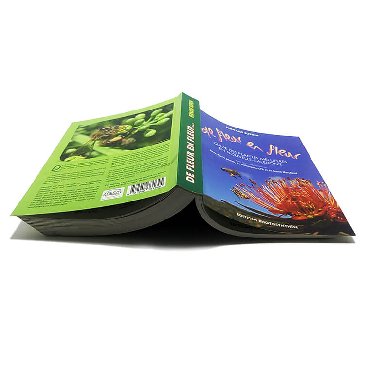Softcove paper book printing services