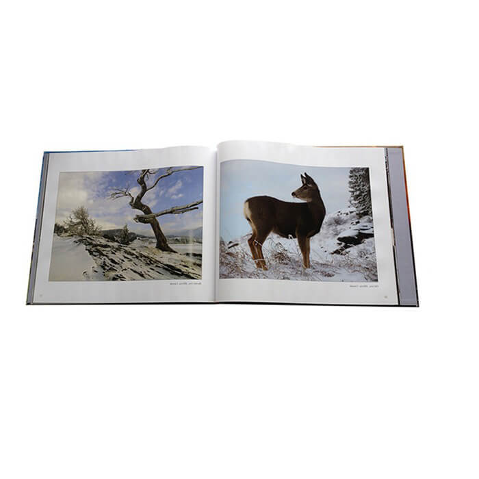 Custom Hardcover Book Printing  Self-Publish Your Book oem odm