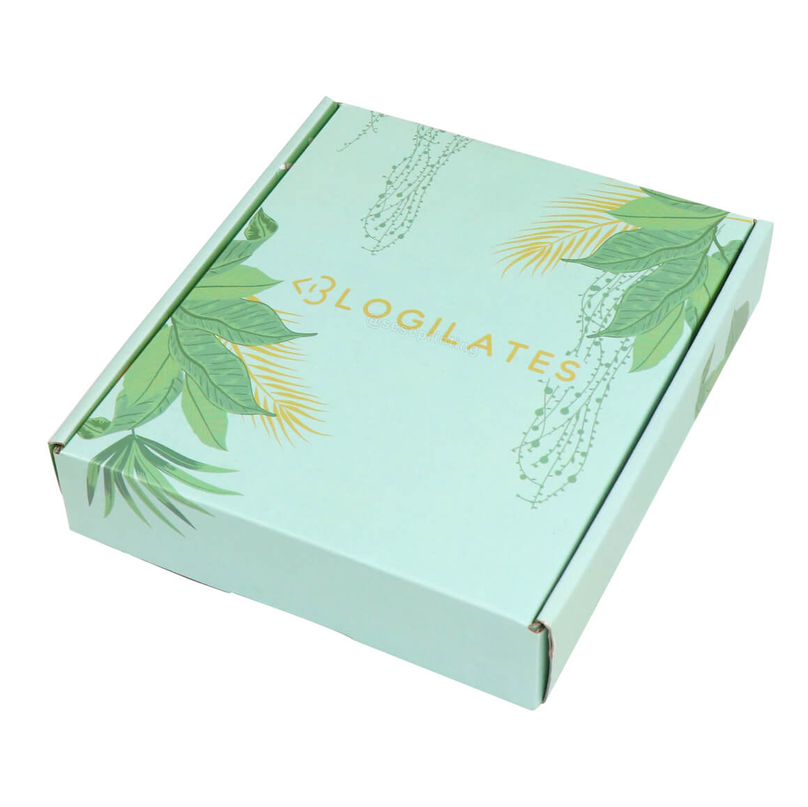 Free Sample Mailer Box Custom Logo Printed Corrugated Shipping Boxes Packaging