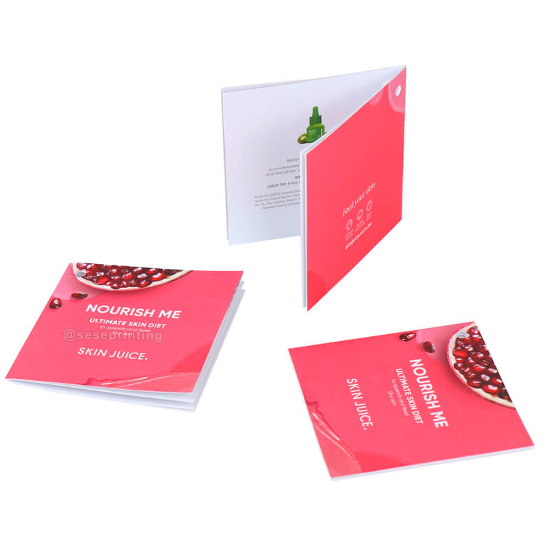 Custom Flyer Printing Catalog Booklet Instruction Manual Brochure Printing