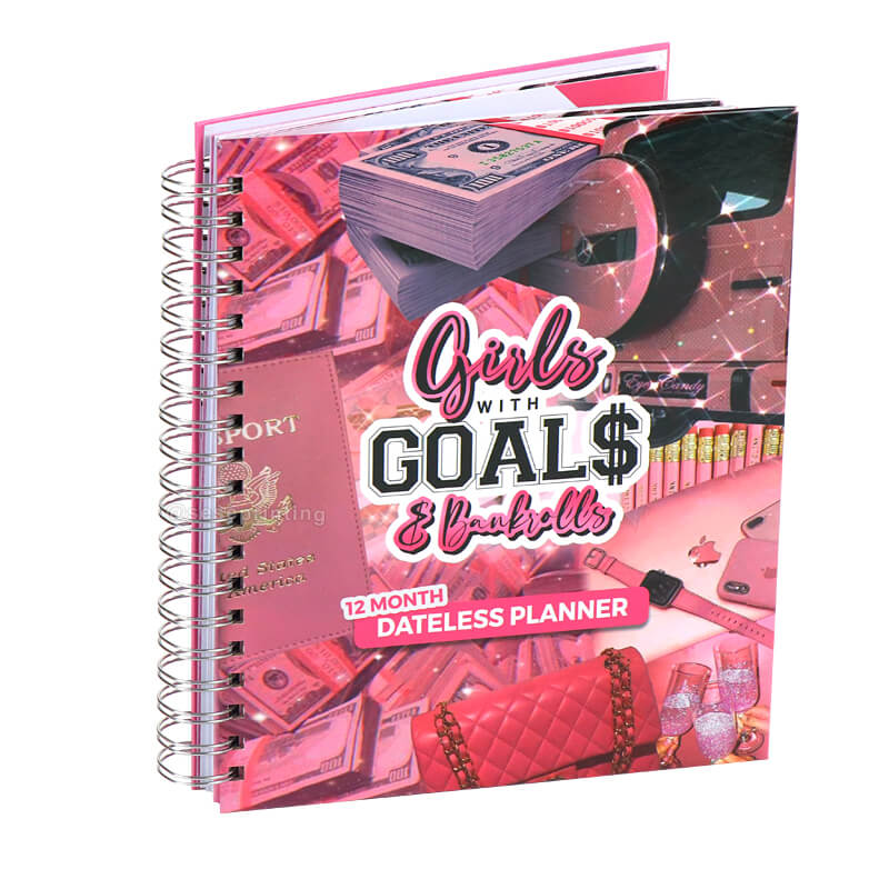 Custom Financial Planner Spiral Monthly Bill Tracker Goal Planner for Girl